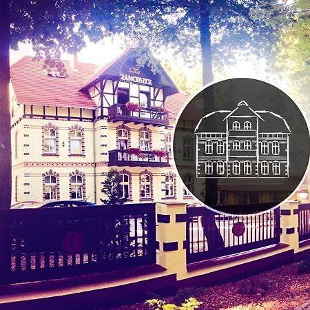 Franciszek Przy Parku Szwedzkim Apartment Szczawno-Zdroj Ngoại thất bức ảnh