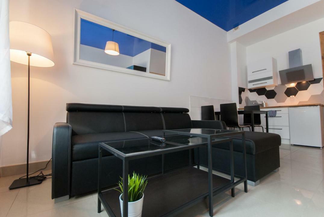 Franciszek Przy Parku Szwedzkim Apartment Szczawno-Zdroj Ngoại thất bức ảnh