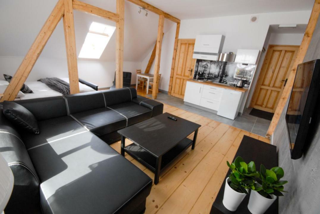 Franciszek Przy Parku Szwedzkim Apartment Szczawno-Zdroj Ngoại thất bức ảnh